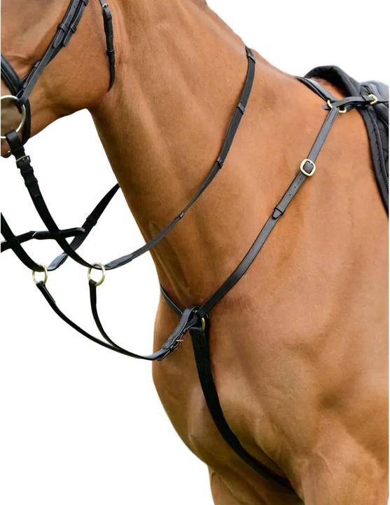 Produktbild Kincade Breast Blatt mit Martingal Classic Leder