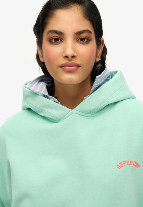 Immagine prodotto Superdry Essential Hoodie mit Logo (14)