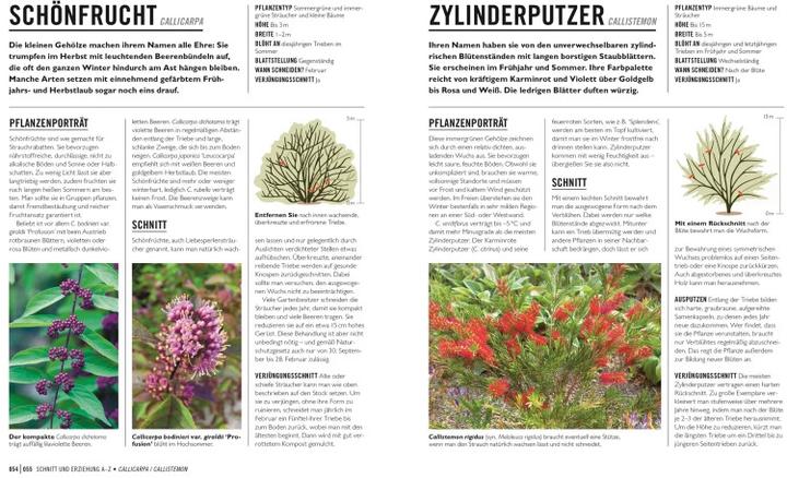 Produktbild Grünes Gartenwissen. Pflanzen richtig schneiden (Deutsch, Reinhard Ferstl, Stephanie Mahon, DK Verlag, 2022)