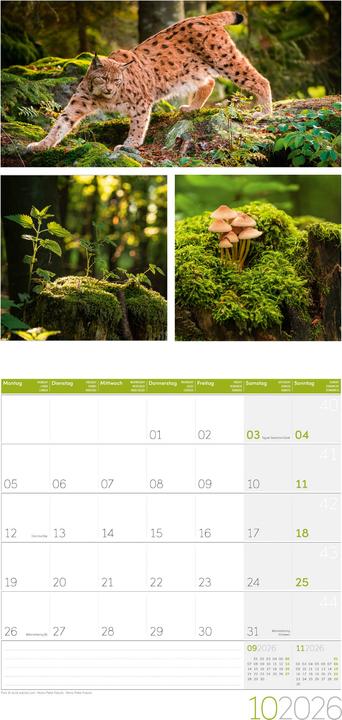 Produktbild Colours of Nature Kalender 2026 - 30x30 (30 x 30 cm, Harter Einband, Deutsch, Französisch, Englisch)