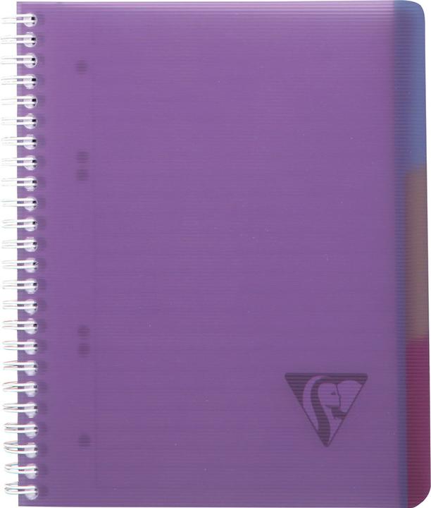 Produktbild Clairefontaine Linicolor Evolutiv Book (A4+, Kariert, Weicher Einband)