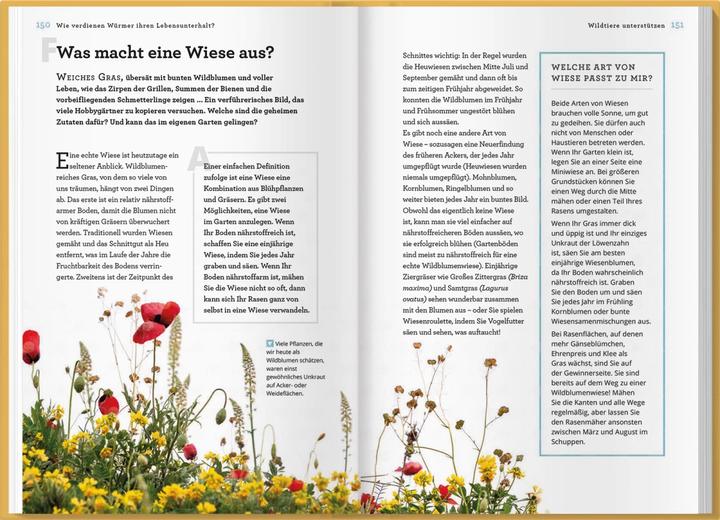 Produktbild Wie verdienen Würmer ihren Lebensunterhalt? (Deutsch, Holly Farrell, Gareth Richards, LV.Buch, 2021)