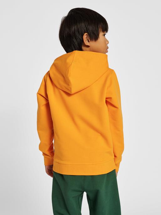 Immagine prodotto hummel hmlCUATRO HOODIE (104)