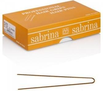 Image du produit Sabrina Épingles à cheveux invisibles 500g LACA.002 (1 pcs)