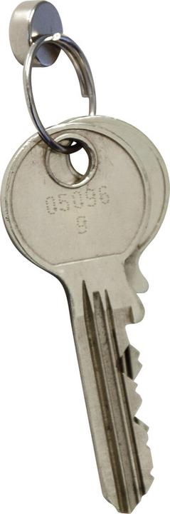 Actual product image Maul Neodymium magnet (10 x)