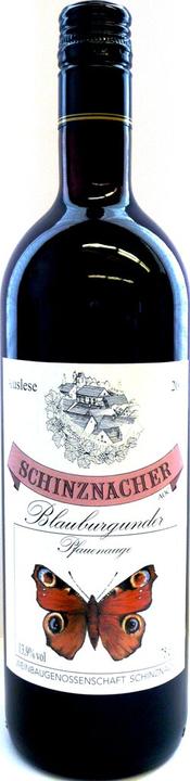 Actual product image Wbg Schinznach Schinznacher Pinot Noir Auslese AOC (1 x 75 cl, 2022)