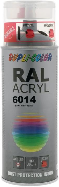 Image du produit Dupli-Color Peinture acrylique mat RAL 6014 olive jaune (Olive jaune, 0.40 l)