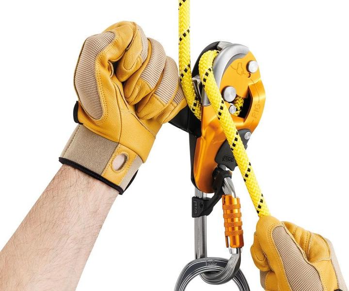 Image du produit Petzl Descender Rig