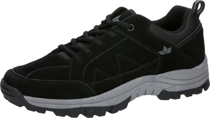 Actual product image Lico Argus (41)