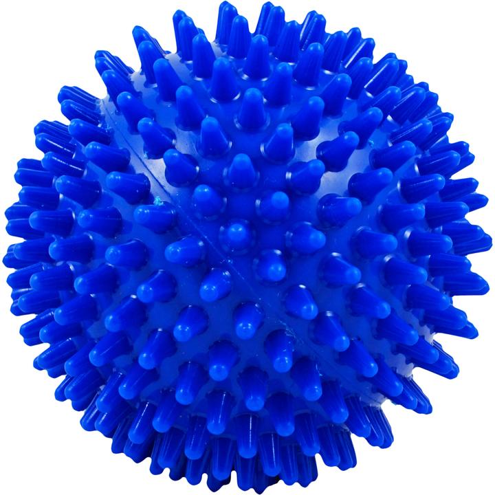 Rehaforum Medical Igelball