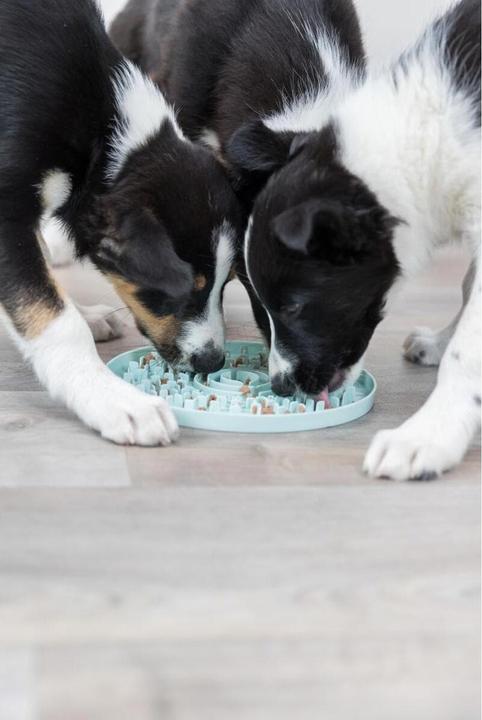 Produktbild Trixie Junior Schleckplatte, Ø 21 cm, Mint (Beschäftigungsspielzeug Hund)