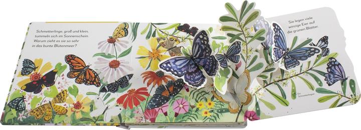 Produktbild Mein Pop-up Buch Schmetterling (Deutsch)