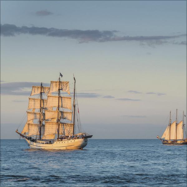 Actual product image Meerblicke - Nord- und Ostsee 2026 (30 x 30 cm, Hardcover, French, English)