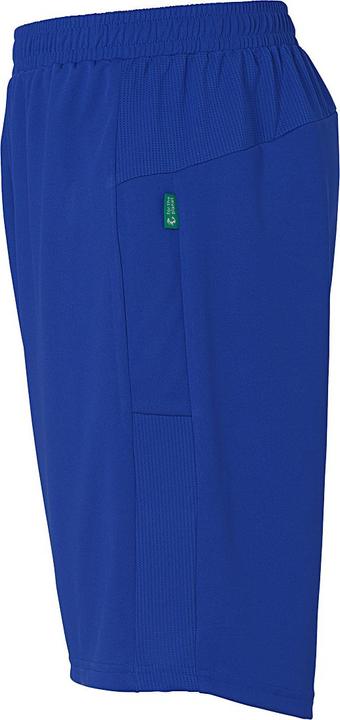 Actual product image Kempa Shorts Performance (140)