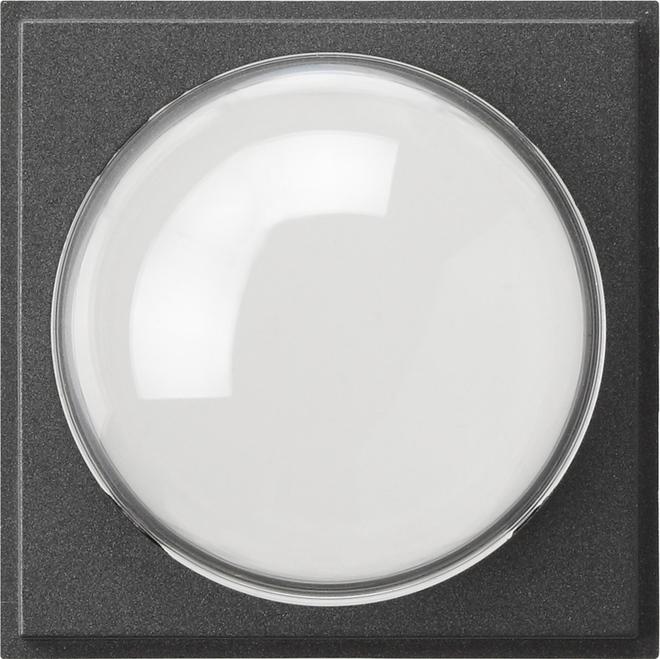 Actual product image Gira TX 44 colour camera cover anthracite 141567