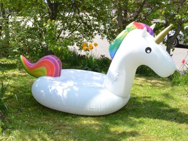 Image du produit Licorne de l'île de natation