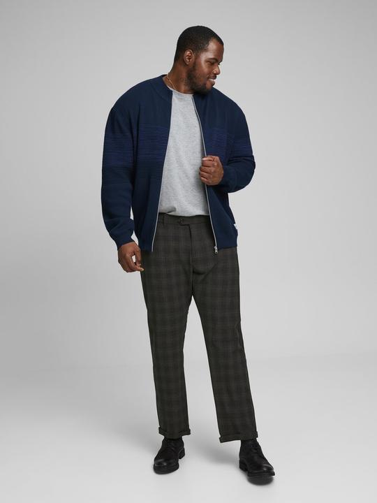 Immagine prodotto Jack & Jones Chinos a scacchi per taglie forti