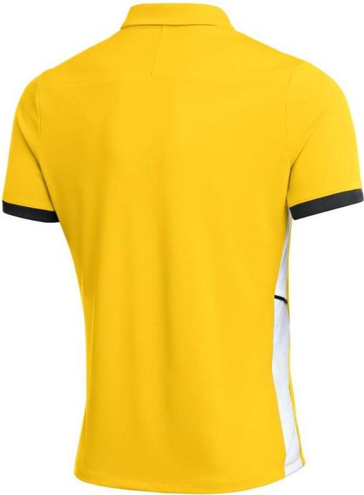 Actual product image Nike Dri-Fit Academy Poloshirt (L)