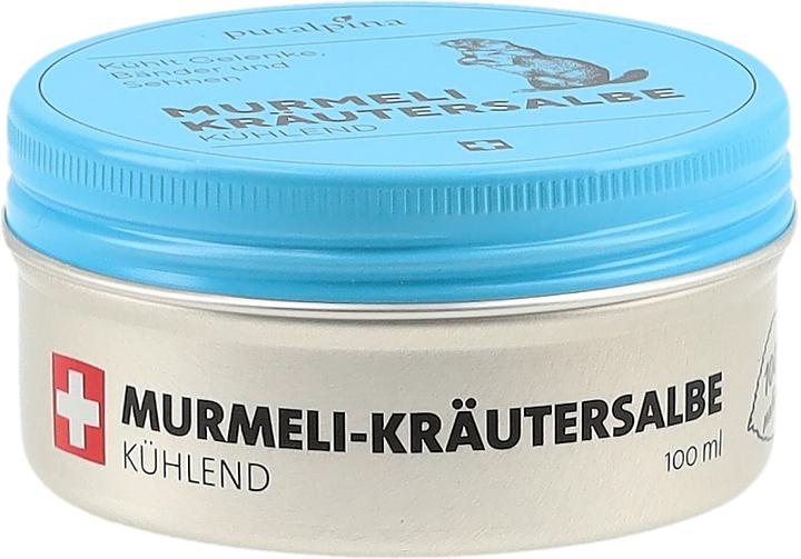 Actual product image Puralpina Murmeli Herbal Ointment (1 x, 100 ml, 110 g)