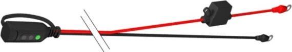 Actual product image Ctek Indicator Eyelet