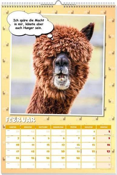 Immagine prodotto Cool calendario poster dei lama 2025 (Tedesco)