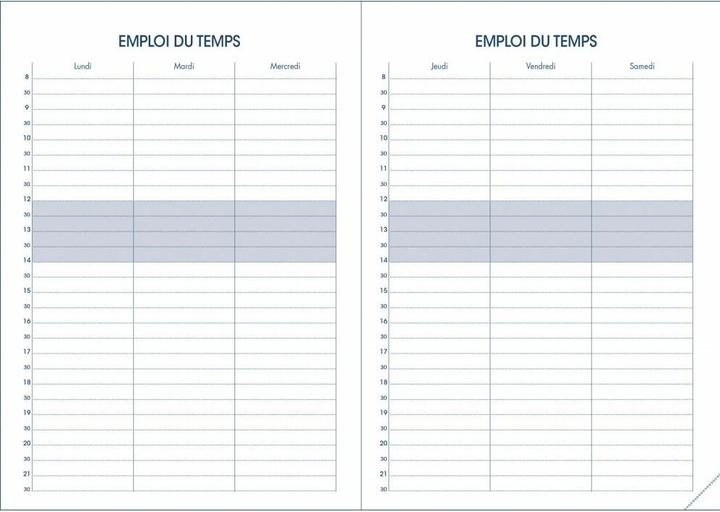 Image du produit Quo Vadis Textagenda Impala 21 21/22 QV173031 12M ass. fr 13x21 cm (A6, Français)