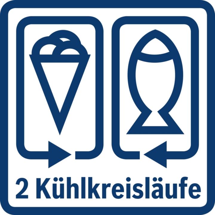 Image du produit Bosch Hausgeräte KIF51AFE0 (220 l)