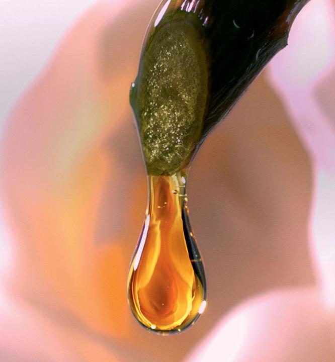 Actual product image Dior Micro Huile Rose Advanced (75 ml)
