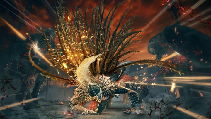 Actual product image Bandai Namco Elden Ring: Shadow of the Erdtree - Collector's Edition (PS5, EN)