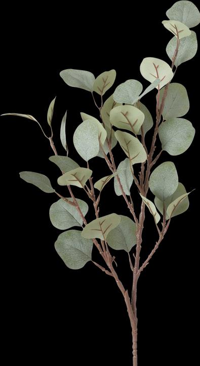 Boltze Home Eucalyptus (69 cm)