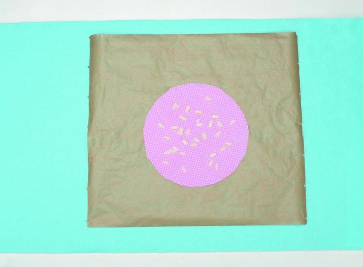 Actual product image hobbytime Beeswax