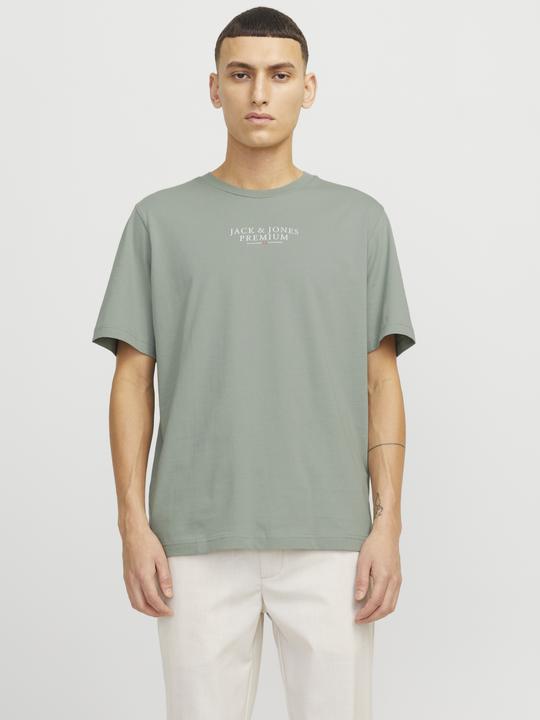 Image du produit Jack & Jones Jprbluarchie Ss Tee Crew Neck Noos (XS)
