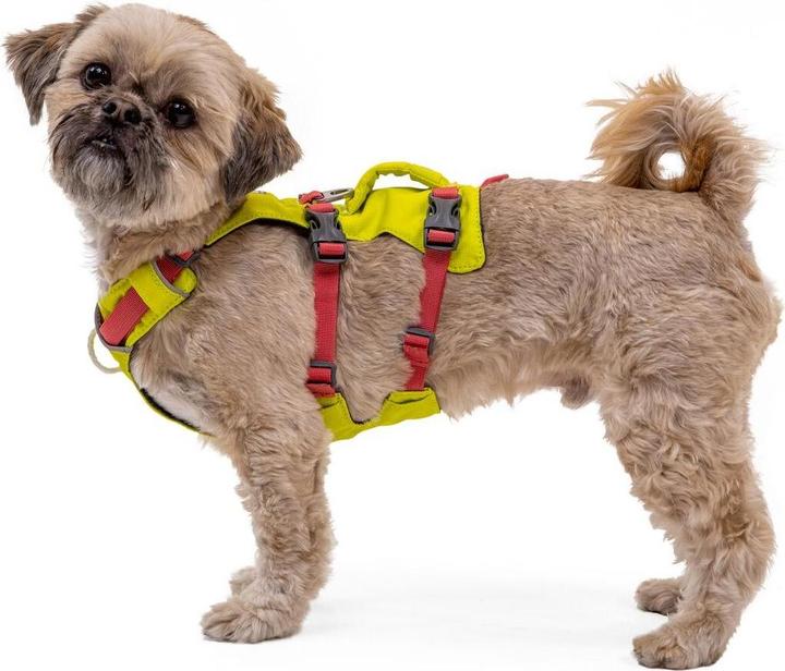 Image du produit Ruffwear Flagline harnais pour chien (XXS, Chien)