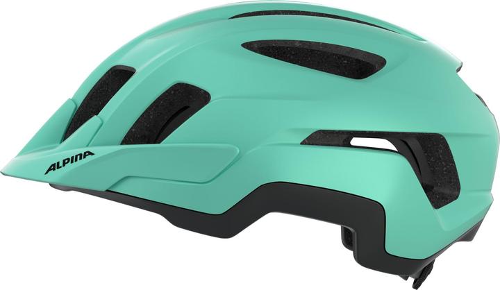 Produktbild ALPINA SPORTS Paranus (52 - 56 cm)
