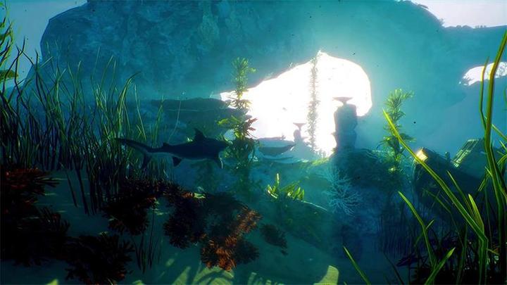Image du produit Deep Silver Maneater Day One Edition (PS4, Multilingue)