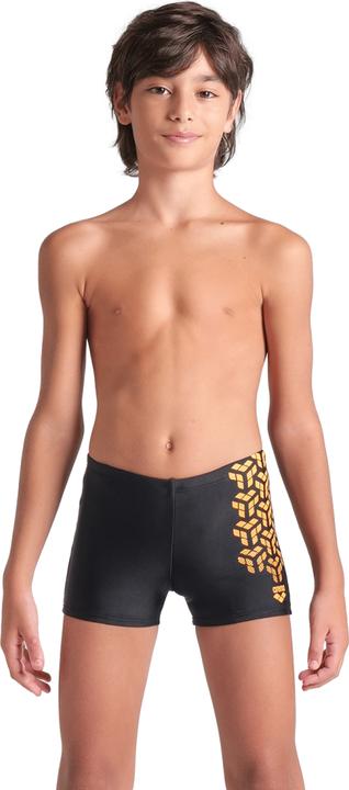 Arena B Kikko V Swim Short Graphic (164)