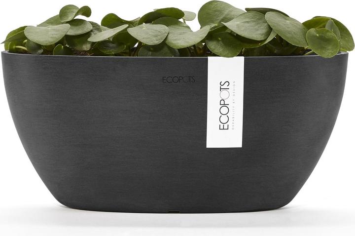 Produktbild Ecopots Sofia (13 cm)