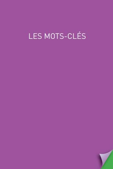 Produktbild Anti-fautes d'anglais : grammaire, conjugaisons, 1000 verbes (Collectif, Französisch)