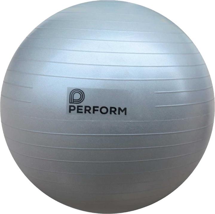 Image du produit Perform Gym-Ball ABS (65 cm)