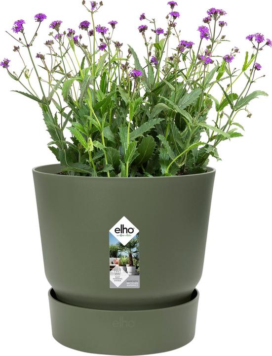 Produktbild Elho Greenville (19 cm)