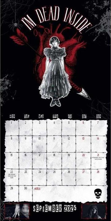Actual product image Wednesday 2025 Wall Calendar (30 x 30 cm)