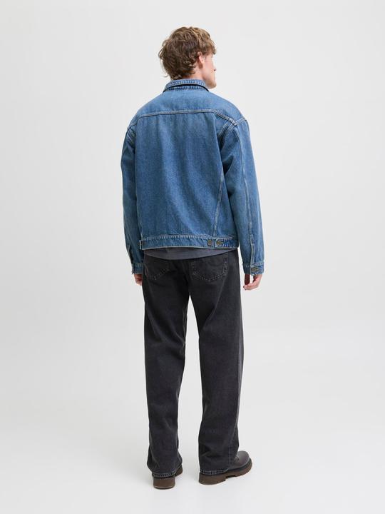 Actual product image Jack & Jones JJIALEX JJORIGINAL SQ 737 Baggy Fit Jeans Baggy Fit Jeans (W29/L34)