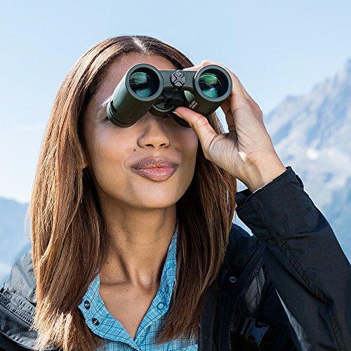 Actual product image Eschenbach Binoculars Sektor compact+ 8x56 (8 x, 56 mm)