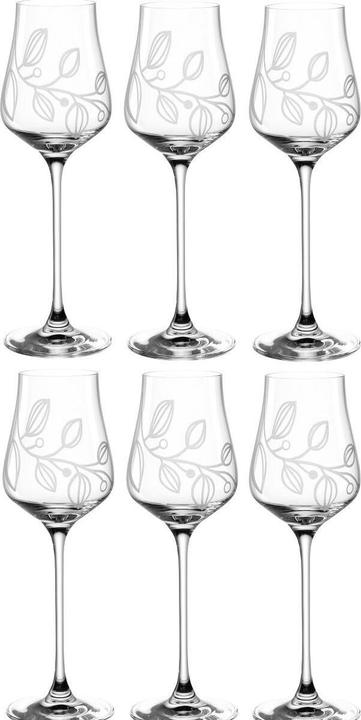 Leonardo Grappaglas Boccio 210 ml, 6 Stück, Transparent (2.10 dl, 6 x, Likörgläser + Grappagläser)