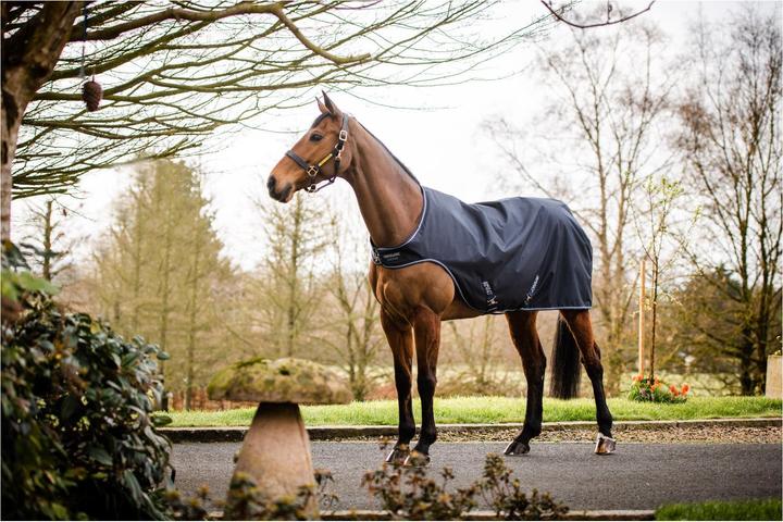 Produktbild Horseware Führanlagendecke Amigo Walker 100g