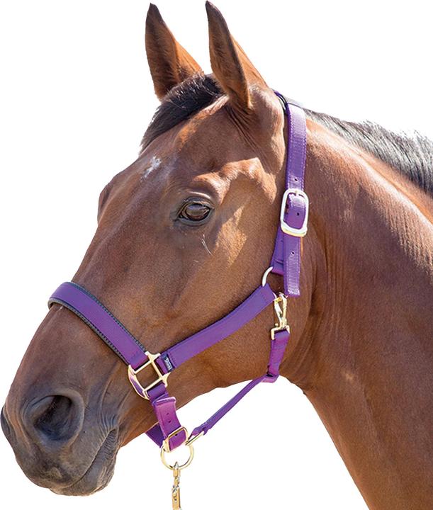 Immagine prodotto Shires UTER239 P