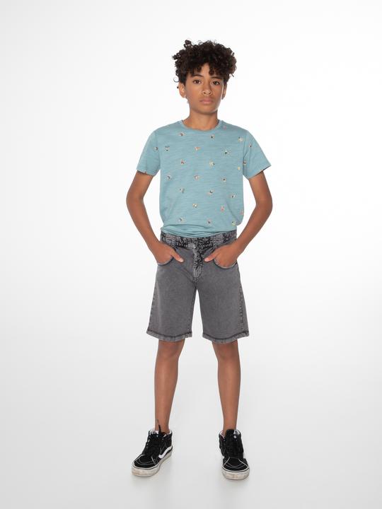 Actual product image Protest Shorts Orlin (164)