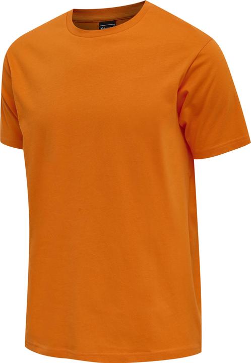Orange tiger