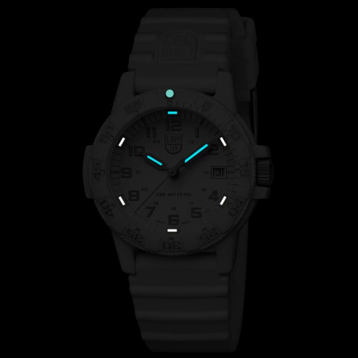 Produktbild Luminox Sea Turtle (Analoguhr, Swiss Made, 39 mm)