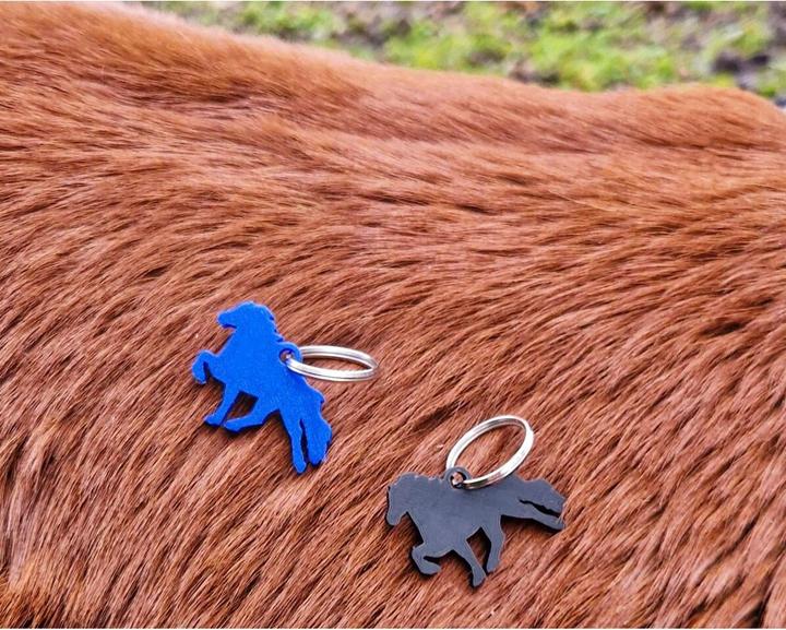 Actual product image Karlslund Keyring with Icelandic horse